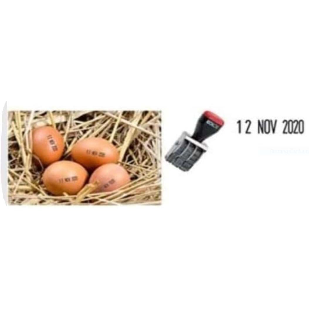 Date Stamp, Day, Month, Year Hand Rubber Expiry Date Stamps Durable Rotating Egg Date Stamper, Adjustable for Custom Use - Perfect for Home, School and Office Use