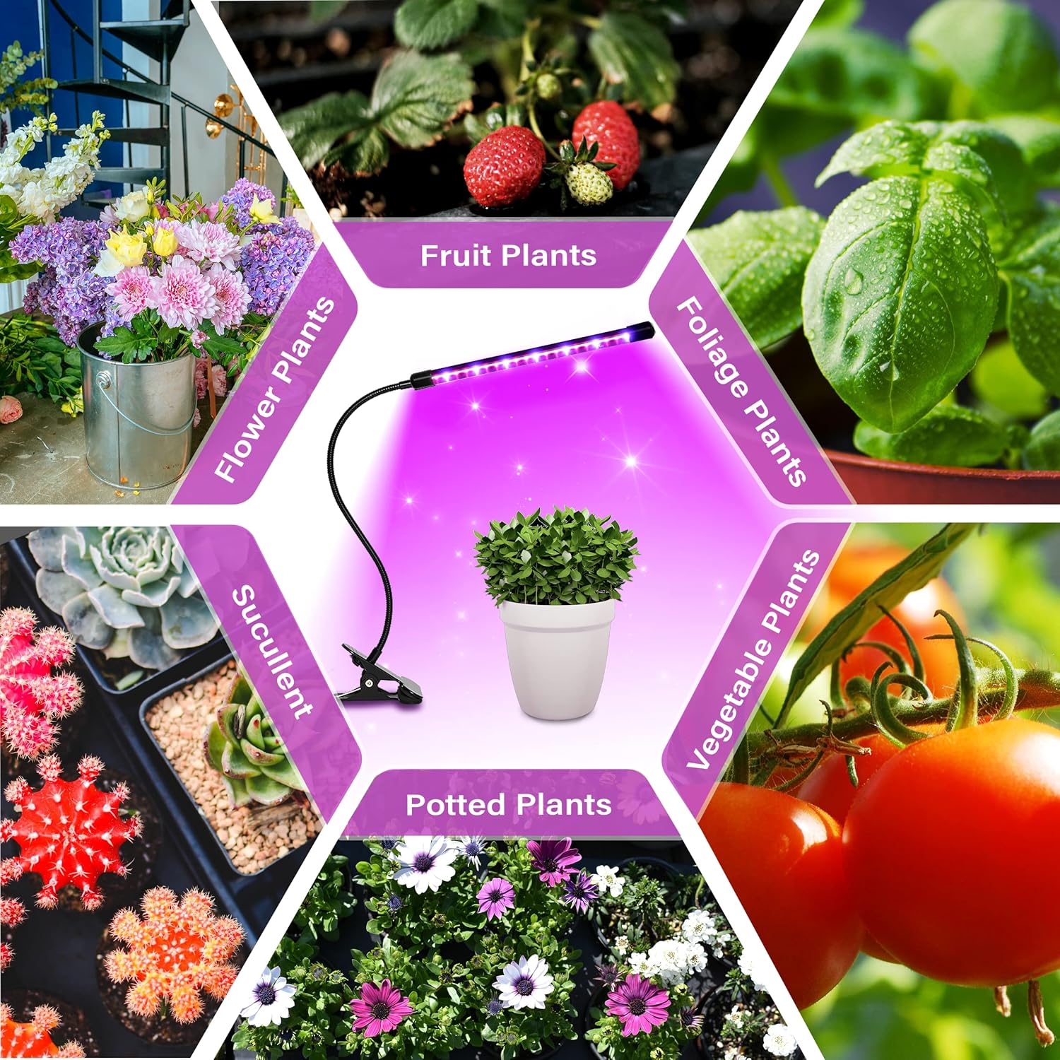Red & Blue USB LED Plant Grow Light Strips Full Spectrum for Indoor Plants with Auto ON/Off 3/9/12H Timer, 10 Dimmable Levels Per Tube, Artificial UV Sunlike Grow Lamp for Hydroponics Succulent, Singl