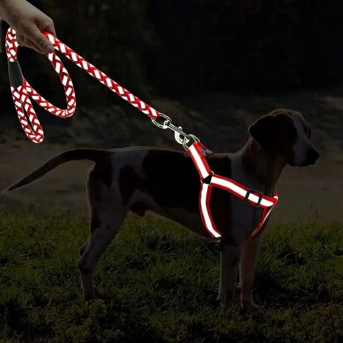 Medium And Small Dogs Harness With Leash Glow In Dark Pet Reflective Hand Holding Rope Traction Belt Dog Breast Strap Luminous Chain Rope Supplies
