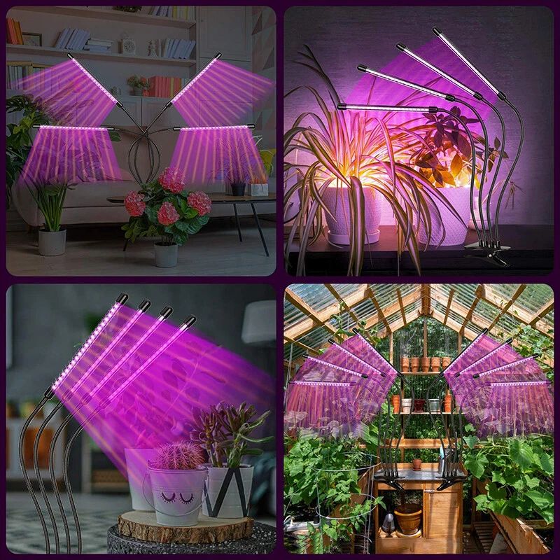 4 Head LED Growing Light with Stand for Indoor Plants Full Spectrum Plant Grow Lamp Indoor with Clip, with 6/12/16H Auto Timer, 3 Switch Modes for Seedlings and Succulents