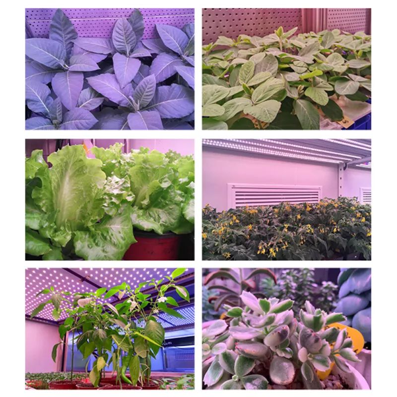 4 Head LED Growing Light with Stand for Indoor Plants Full Spectrum Plant Grow Lamp Indoor with Clip, with 6/12/16H Auto Timer, 3 Switch Modes for Seedlings and Succulents