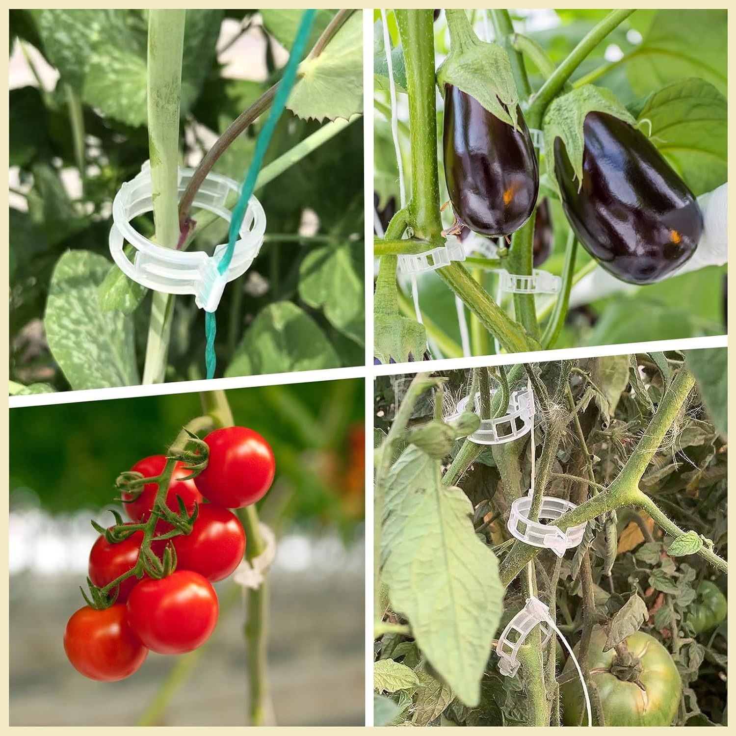 300Pcs Tomato Clips, Plastic Trellis Plant Support Clips, Grape Vine, Vegetables Plants, Garden Clip to Grow Upright Makes Plants Healthier Farming