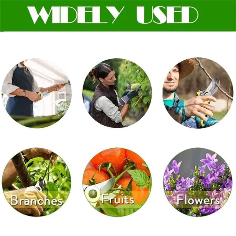 Horticultural Scissors Bird Beak Shape Branch Pruning Labor Saving Pruning Stainless Steel Picking Multifunctional Gardening Tools