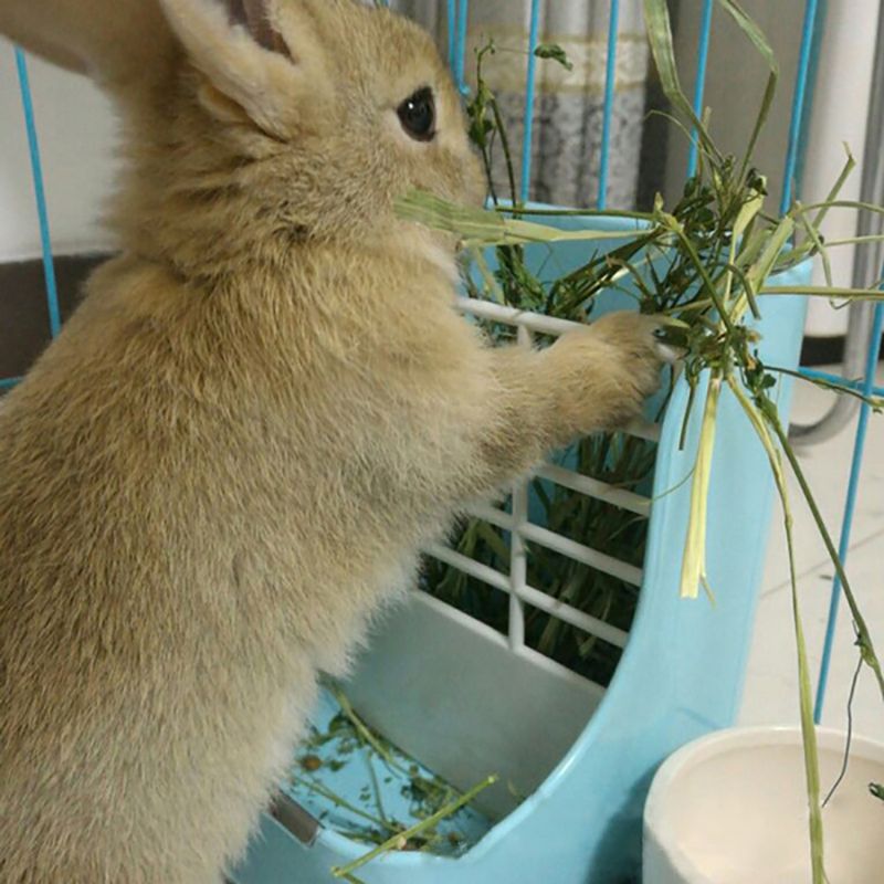 2in1 Plastic Grass Bowl Rack Hay Cat Small Animals Bowl Small Pet Rabbit Hay Grass Feeder Rack Fixed External Shelf