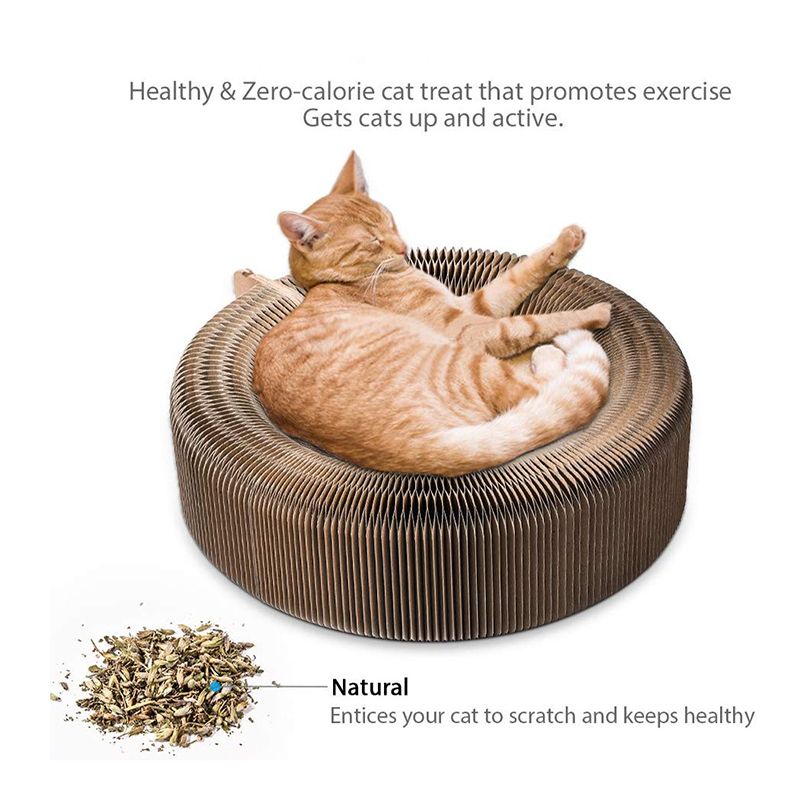 Pet Cat Scratcher Lounge Bed Collapsible Folding Corrugated Paper Deformed Cat Scratch Board For Cat Bed Mat Kitten Toy Pet Supply