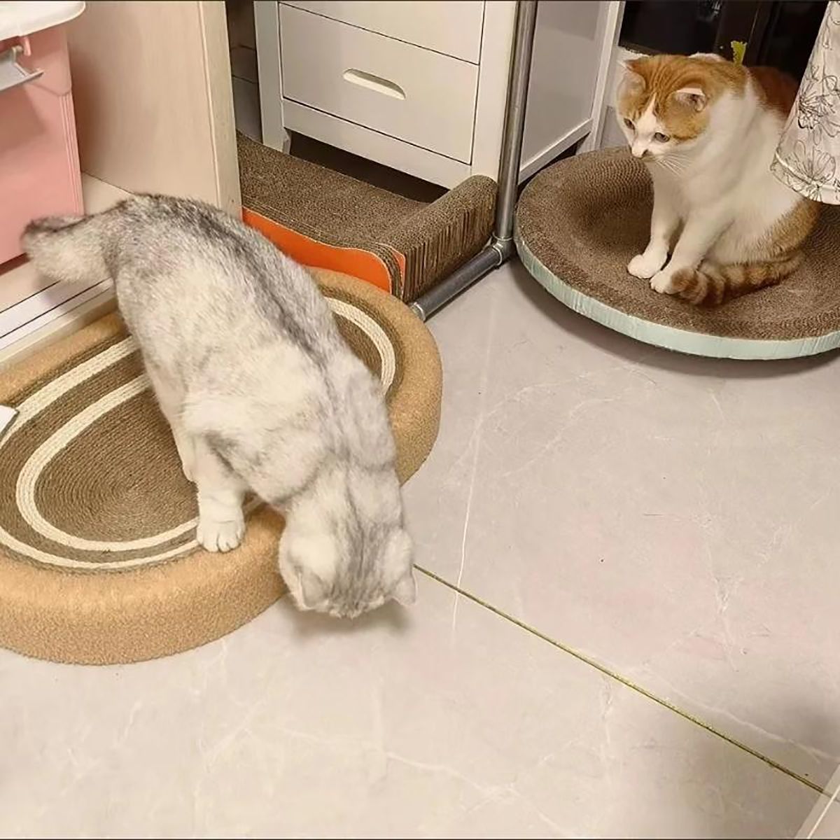 Oval Cat Scratcher Pads 100% Sisal/Cloth Cat Scratching Board Kitten Bed Nest Chew Toy Bite Sharpen Nails Tool Pet Supply