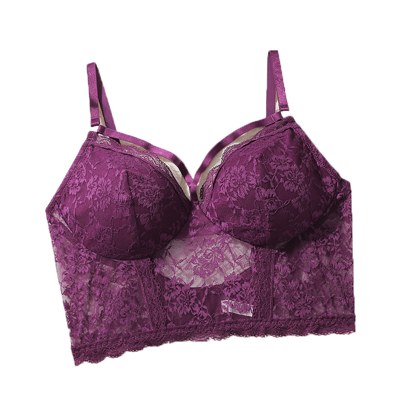 New style plus-size super comfortable bras for women, suitable for plus-size ladies. European and American sexy lace large-cup lingerie.
