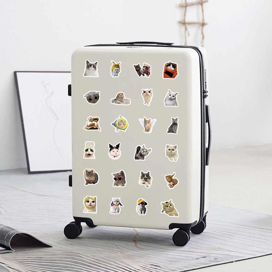 100pcs Funny Cat dog Stickers Cartoon Cute Decals Toy Stationery Guitar Phone Bicycle Laptop Luggage Car Graffiti Kids Sticker