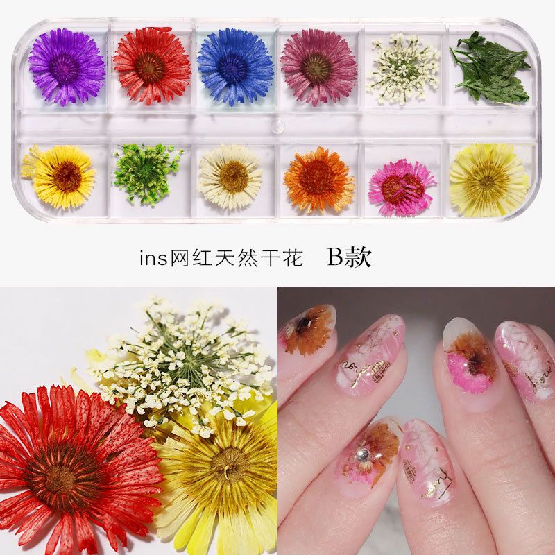 New Japanese nail art dried flower 12 color sky star sunflower small daisy 12 color dried flower box with 24 nail art dried flowers