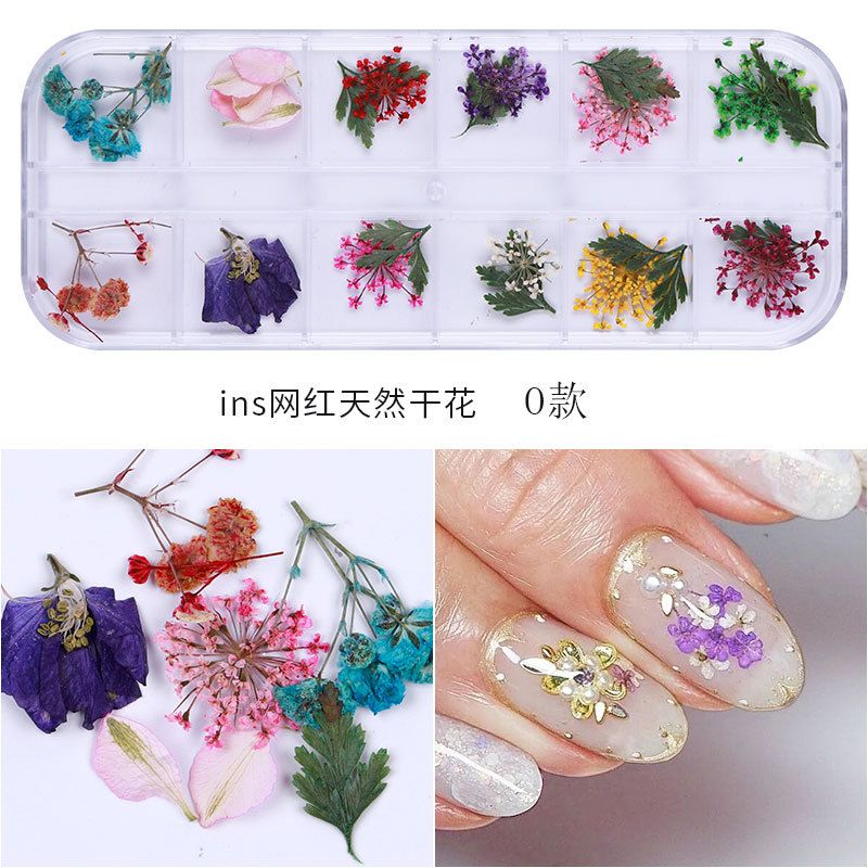 New Japanese nail art dried flower 12 color sky star sunflower small daisy 12 color dried flower box with 24 nail art dried flowers
