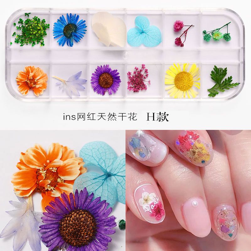 New Japanese nail art dried flower 12 color sky star sunflower small daisy 12 color dried flower box with 24 nail art dried flowers