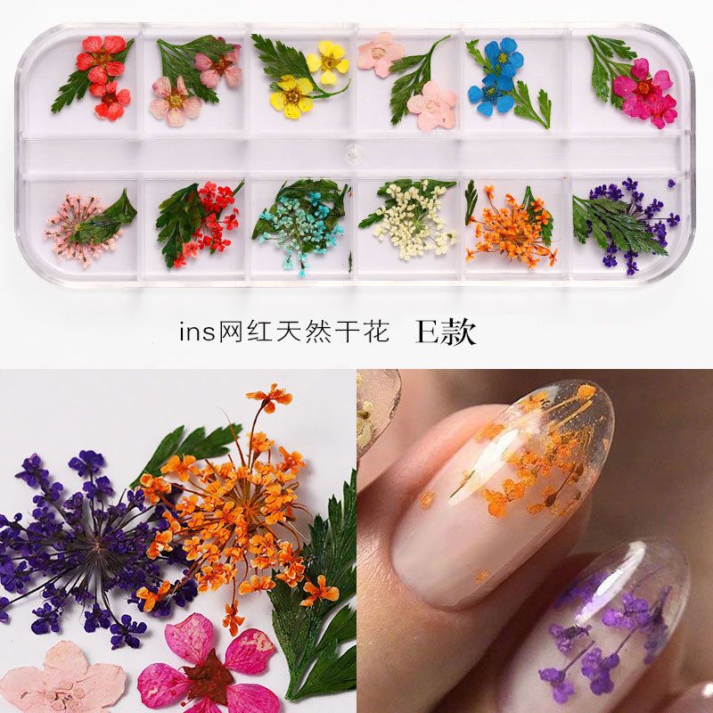 New Japanese nail art dried flower 12 color sky star sunflower small daisy 12 color dried flower box with 24 nail art dried flowers