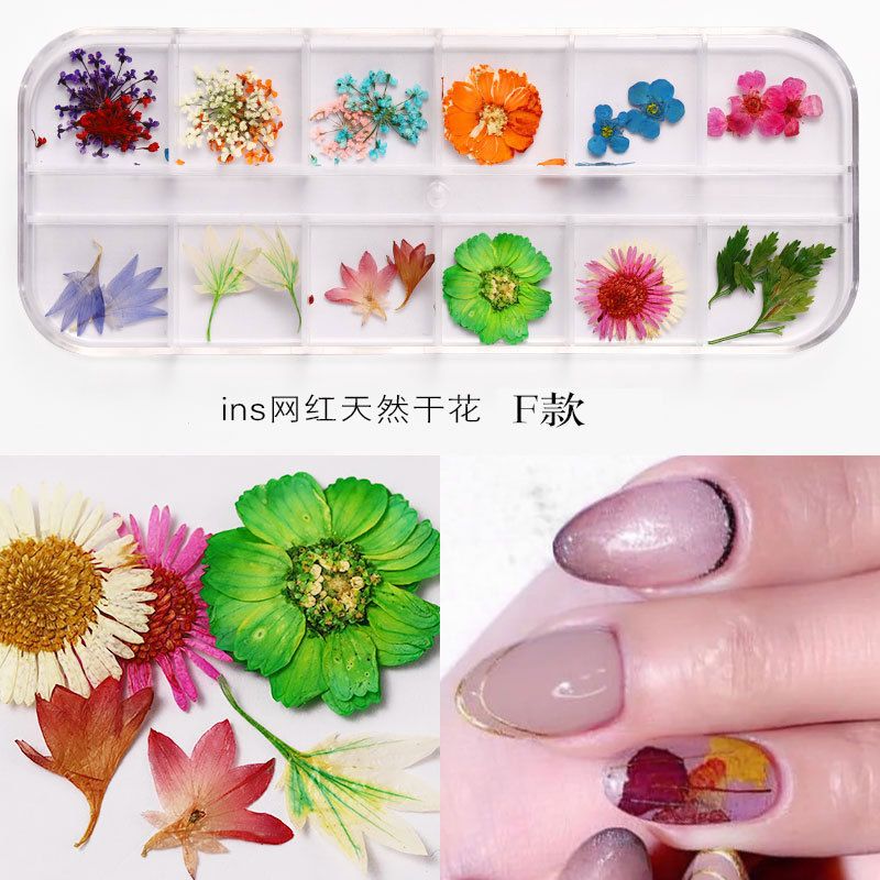 New Japanese nail art dried flower 12 color sky star sunflower small daisy 12 color dried flower box with 24 nail art dried flowers
