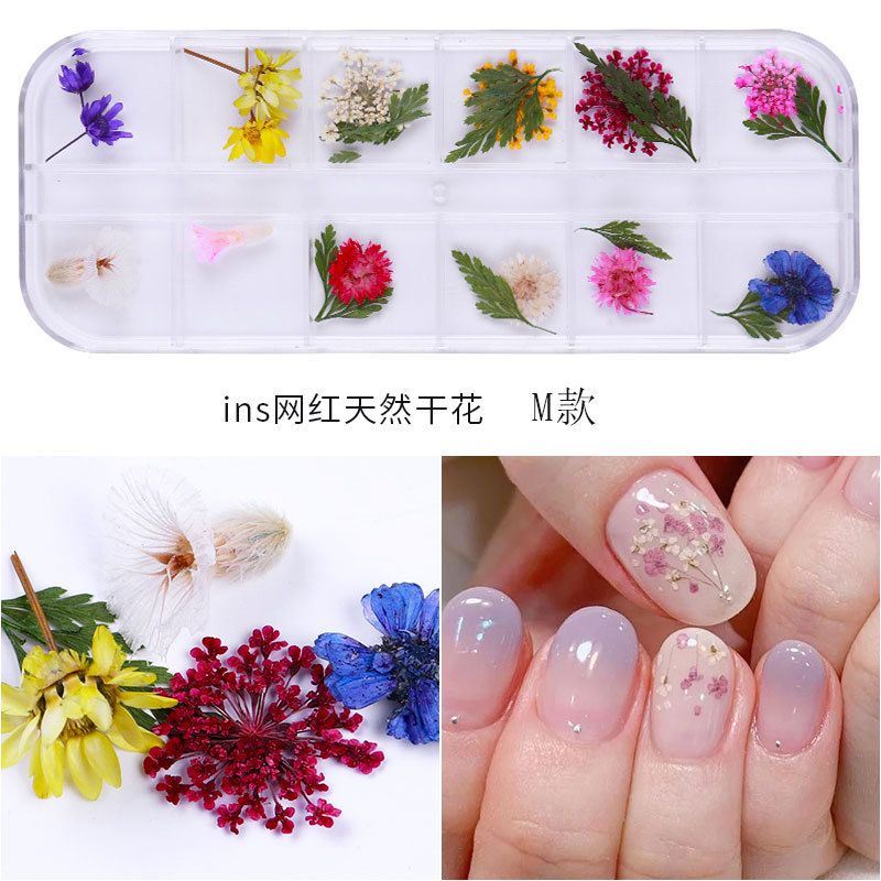 New Japanese nail art dried flower 12 color sky star sunflower small daisy 12 color dried flower box with 24 nail art dried flowers