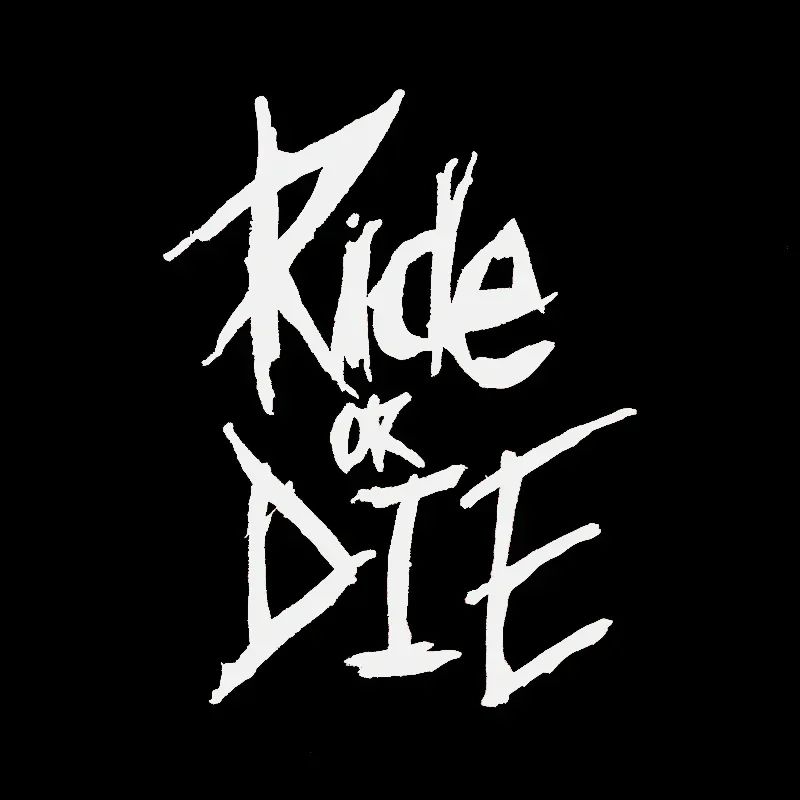 3pcs/set Ride or Die Bike Frame Stickers Bicycle Top Tube Waterproof Decals for MTB Bicycle Decorative Frame Bike Motorcycle Accessories