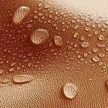 Makeup Organizer PU Leather Women Makeup Bag Lady Convenient Travel Storage Bag Toiletry Kit Bag Make Up Case Pouch Large Big Capacity Toilet Box Fashion Portable Hand Boosting Beauty Cosmetic Bags