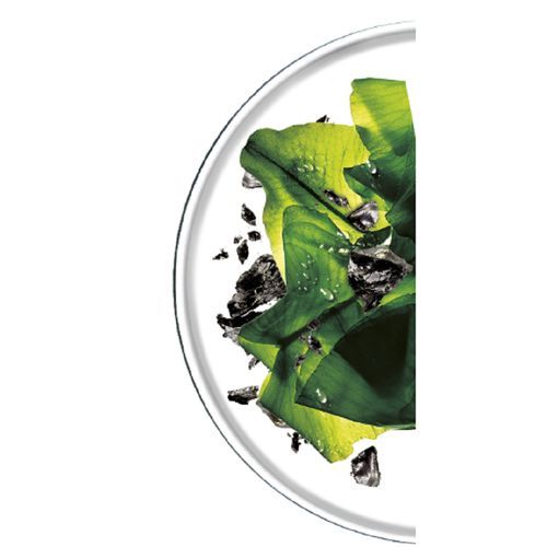 Garnier SkinActive Pure Charcoal Tissue Face Mask Black Algae