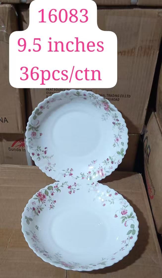 Sundabests High Quality 6 Piece 9.5 inch Classique Dinner Dish Plates(311004206)
