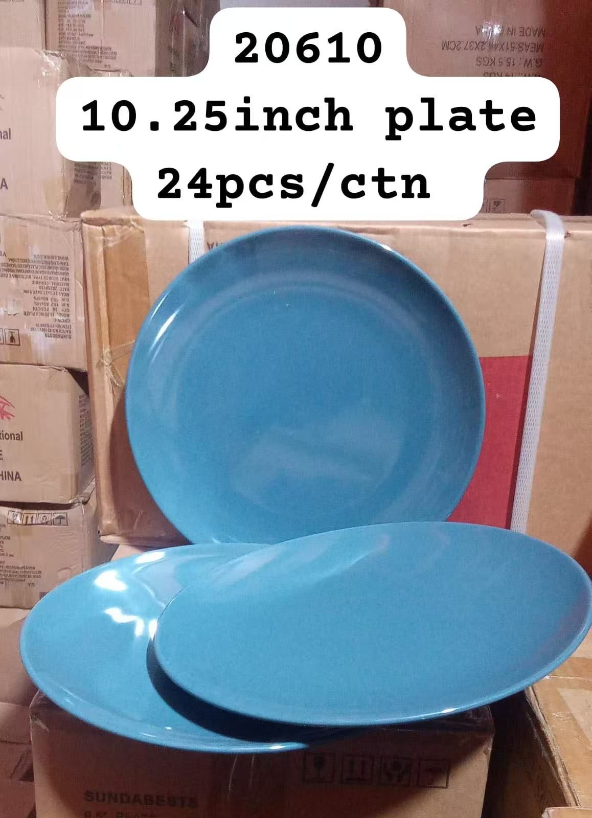 Sundabests 6 PCS 10.25 INCH PLATE Classique Dinner Dish Plates Ceramics Plates