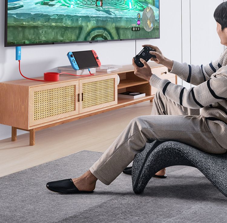 Type-C to HDMI Cable 4K 60Hz, for Nintendo NS2/Switch/Phone/Laptop, 2-in-1 USB-C to HDMI Adapter Cable for TV Monitor Projector