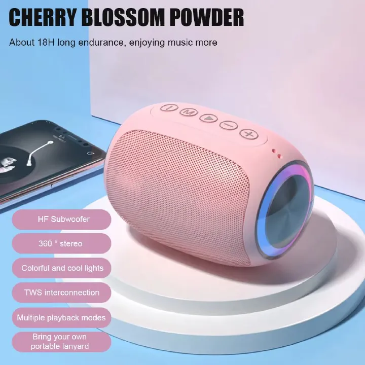 2023 Wireless BT Compatible Portable Speaker Subwoofer Outdoor Call Music Loudspeaker Stereo Double Speaker Surround