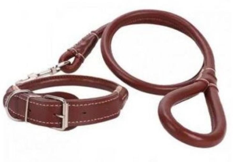 Dog Leash / Harness with Collar - Complete Set, Beautiful and Classy, Available in 3 Colors, Medium Size, Made of PU Leather, Adjustable Collar, Prevents Tangling of Hair Under Collar