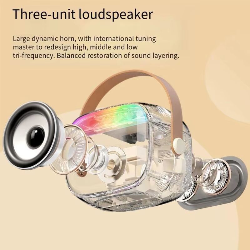 Portable Small Bluetooth Speaker with Wireless Microphone TF Card USB AUX Play High Volume Family Party Audio Karaoke Machine