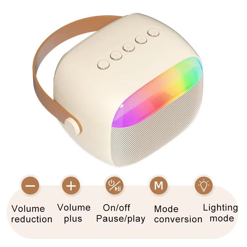 Portable Small Bluetooth Speaker with Wireless Microphone TF Card USB AUX Play High Volume Family Party Audio Karaoke Machine