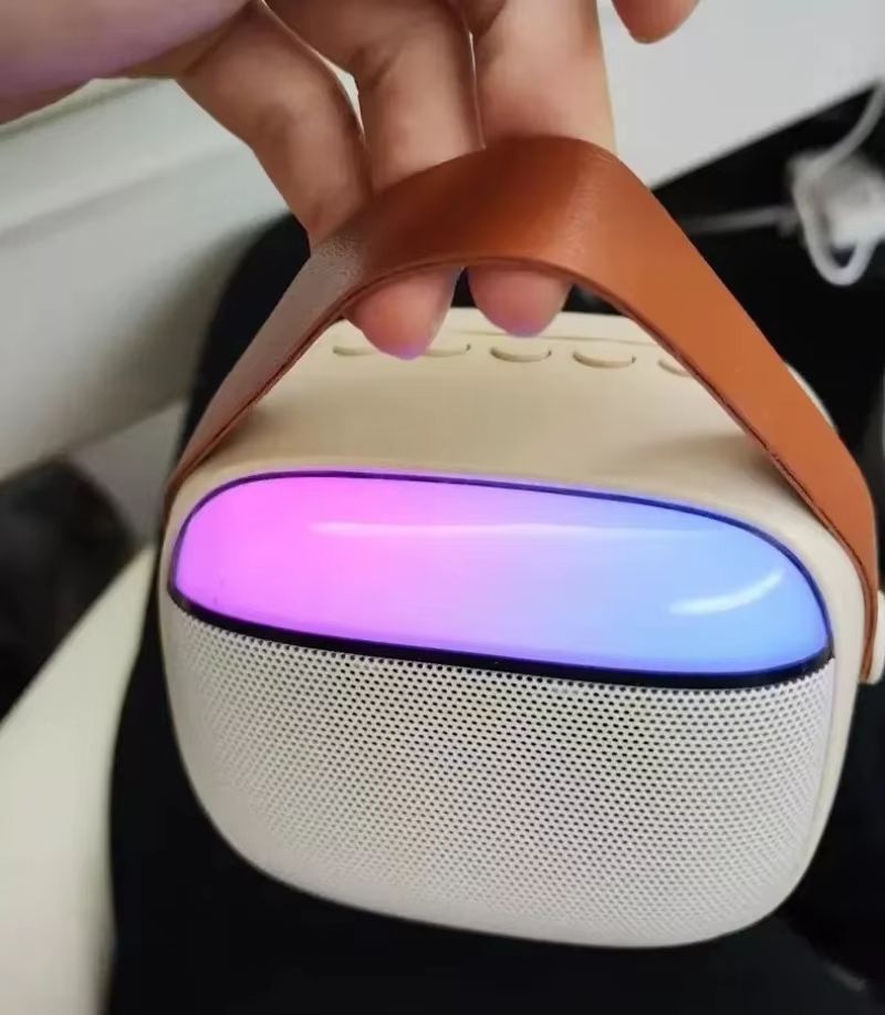 Portable Small Bluetooth Speaker with Wireless Microphone TF Card USB AUX Play High Volume Family Party Audio Karaoke Machine