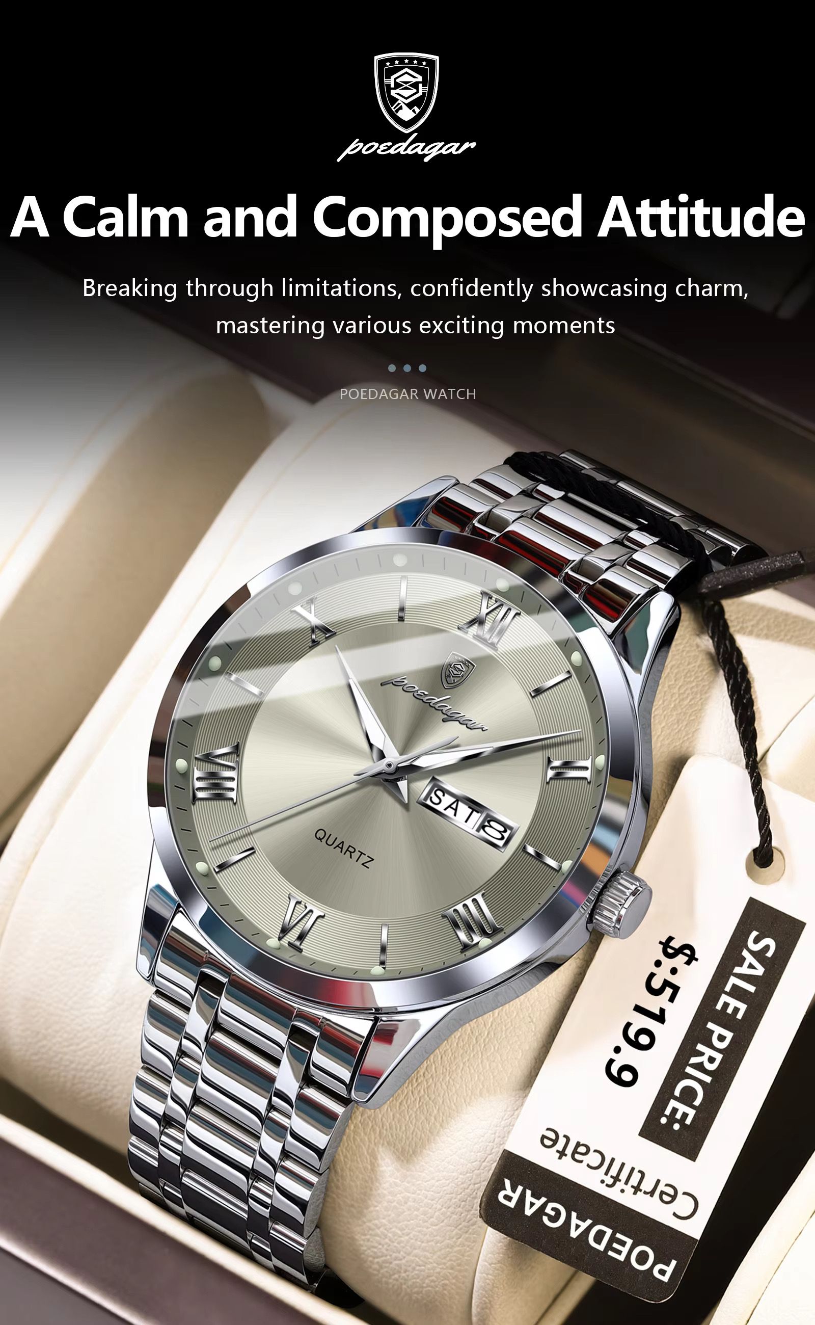 Poedagar 978 Luxury Quartz Watches Stainless Steel Bracelet Watch for Men Luminous Waterproof Mens Watch