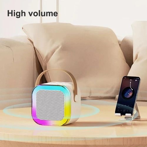 Portable Speaker With 2 Handheld Wireless Microphones