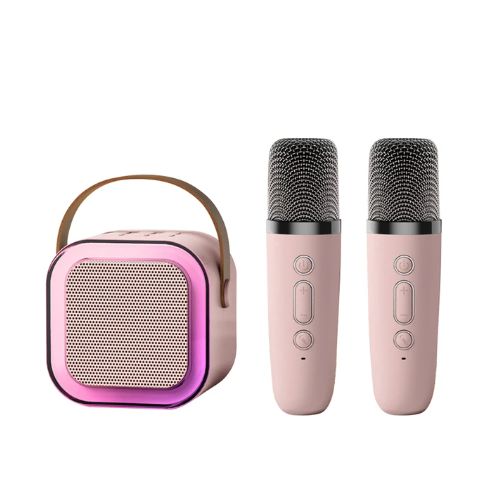 Portable Speaker With 2 Handheld Wireless Microphones