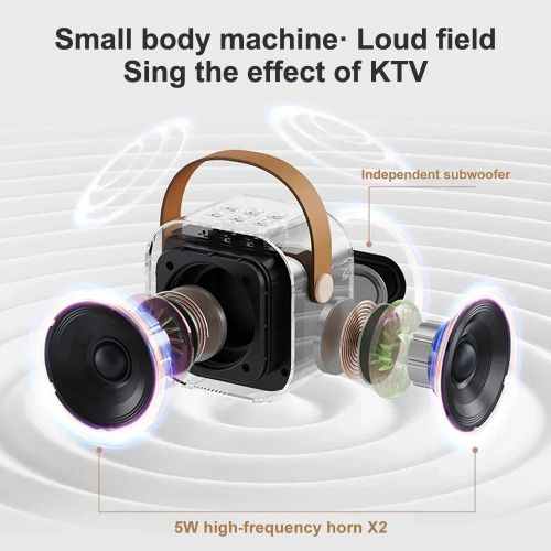 Portable Speaker With 2 Handheld Wireless Microphones
