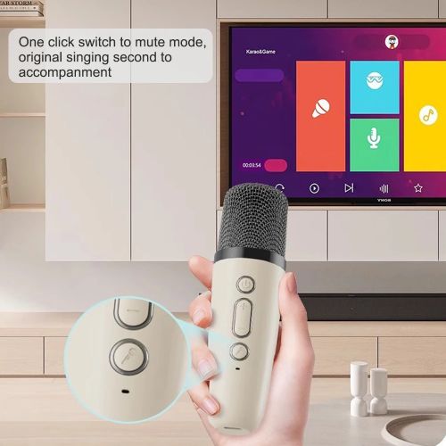 Portable Speaker With 2 Handheld Wireless Microphones