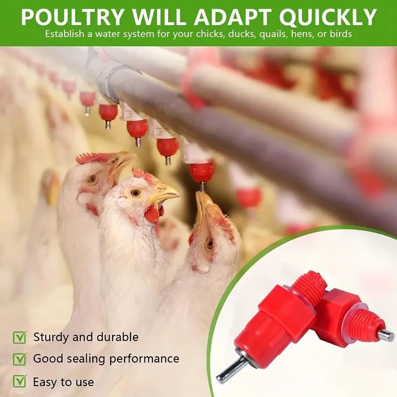 10/20/50 Pcs Automatic Poultry Nipple Drinkers Chicken Feeder -  Chicken Waterers for Layers, Broilers & Kienyeji - Easy Install Water System