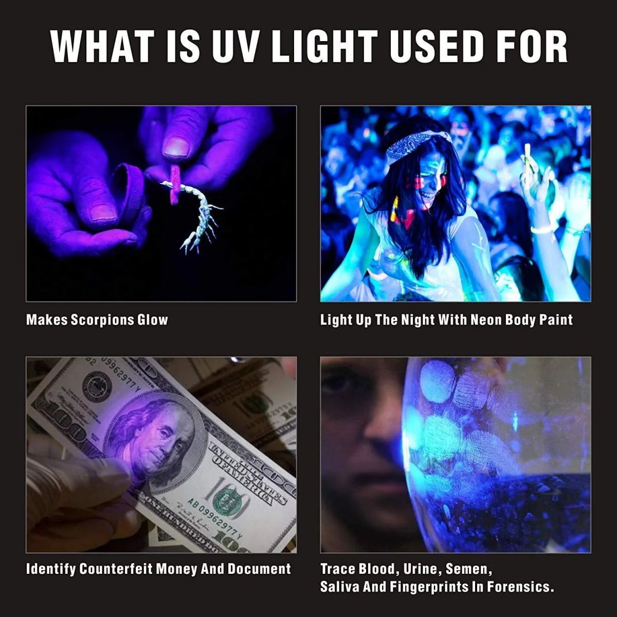 3-in-1 Rechargeable LED Torch - Laser Pointer, UV Light & Flashlight | USB Charging