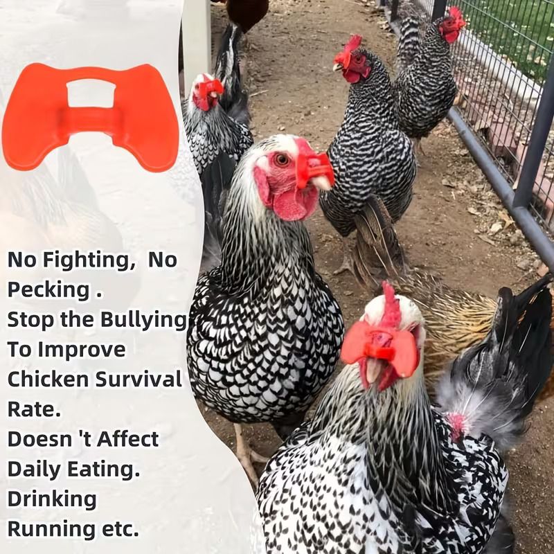 10 / 20 / 50 pcs Chicken Eye Blinders Peepers Chicken Specs Anti-Pecking Glasses Eye Mask Chicken Eyewear - Stop Cannibalism & Fighting in Layers & Broilers Chicken Feeding