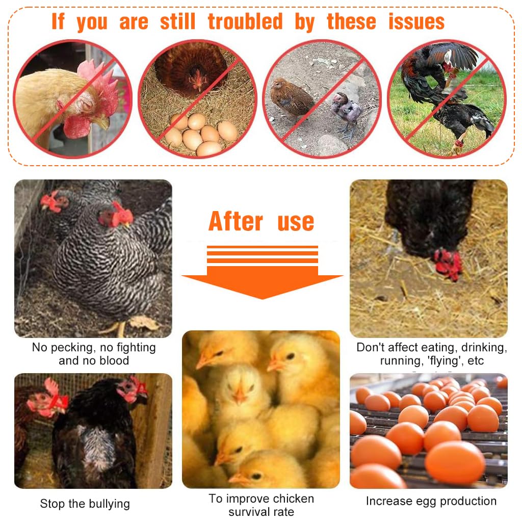 10 / 20 / 50 pcs Chicken Eye Blinders Peepers Chicken Specs Anti-Pecking Glasses Eye Mask Chicken Eyewear - Stop Cannibalism & Fighting in Layers & Broilers Chicken Feeding