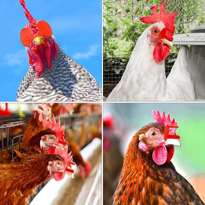 10 / 20 / 50 pcs Chicken Eye Blinders Peepers Chicken Specs Anti-Pecking Glasses Eye Mask Chicken Eyewear - Stop Cannibalism & Fighting in Layers & Broilers Chicken Feeding