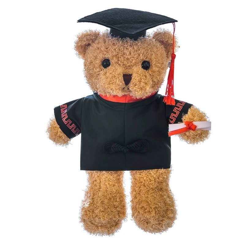 Doctor Bear Teddy Bear Plush Toy Cloth Doll Gift Doll Graduation Bear Gift Birthday Gift Festival Gift Children's Favorite