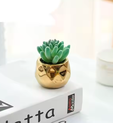 ARTIFICIAL POTTED SUCCULENTS FOR HOME DECOR/OFFICE TABLE/BATHROOMDECOR/BEDSIDE TABLE DECOR (GOLDEN VASE)