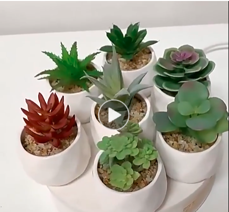 ARTIFICIAL POTTED SUCCULENTS FOR HOME DECOR/OFFICE TABLE/BATHROOMDECOR/BEDSIDE TABLE DECOR (GOLDEN VASE)