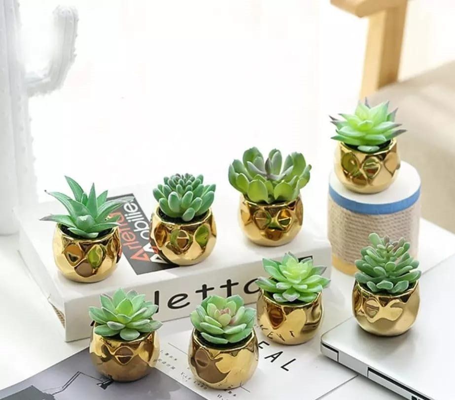 ARTIFICIAL POTTED SUCCULENTS FOR HOME DECOR/OFFICE TABLE/BATHROOMDECOR/BEDSIDE TABLE DECOR (GOLDEN VASE)