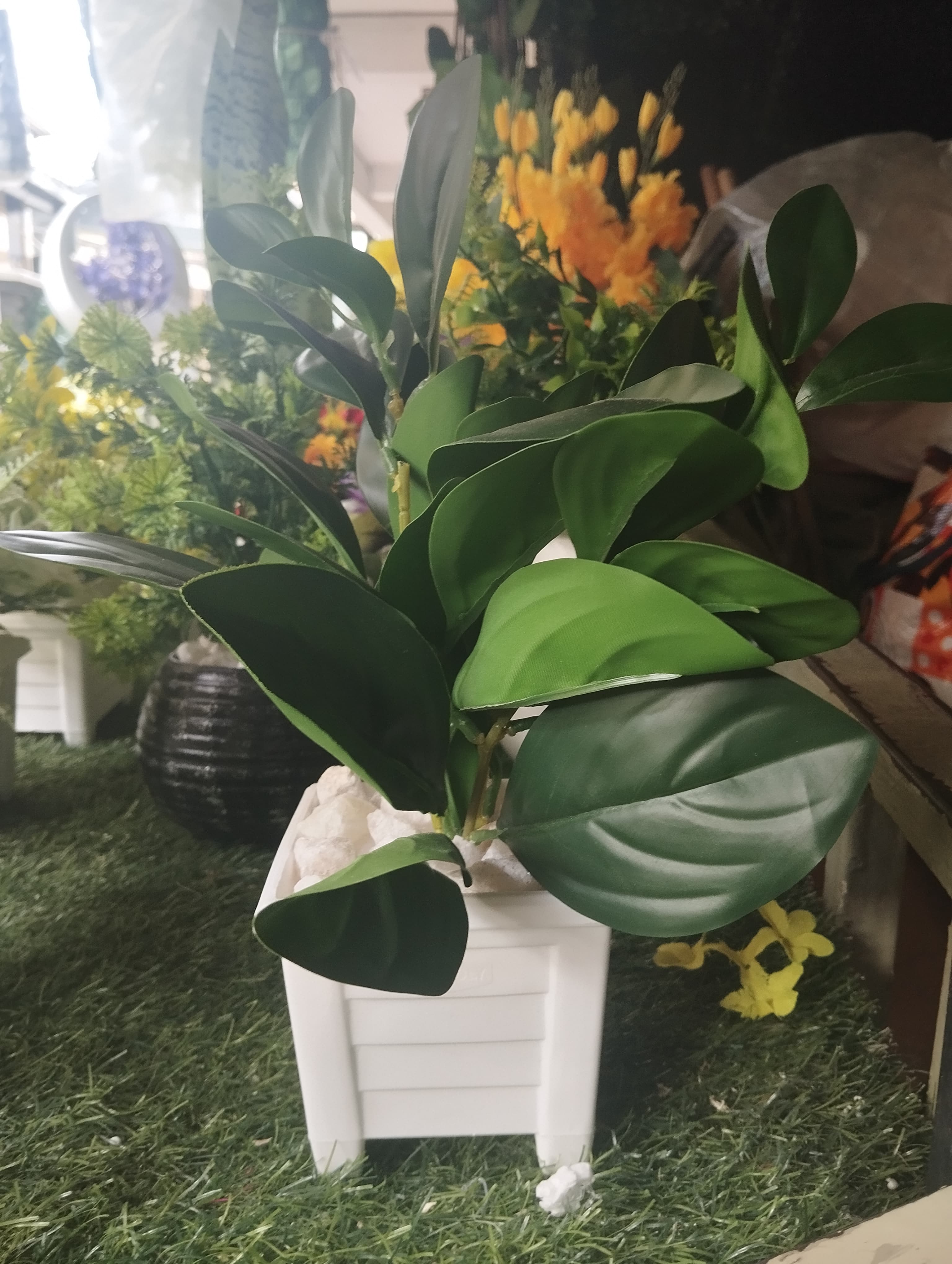 Artificial Green Potted Plant with White Modern square Pot/ Planter covered with white pebbles