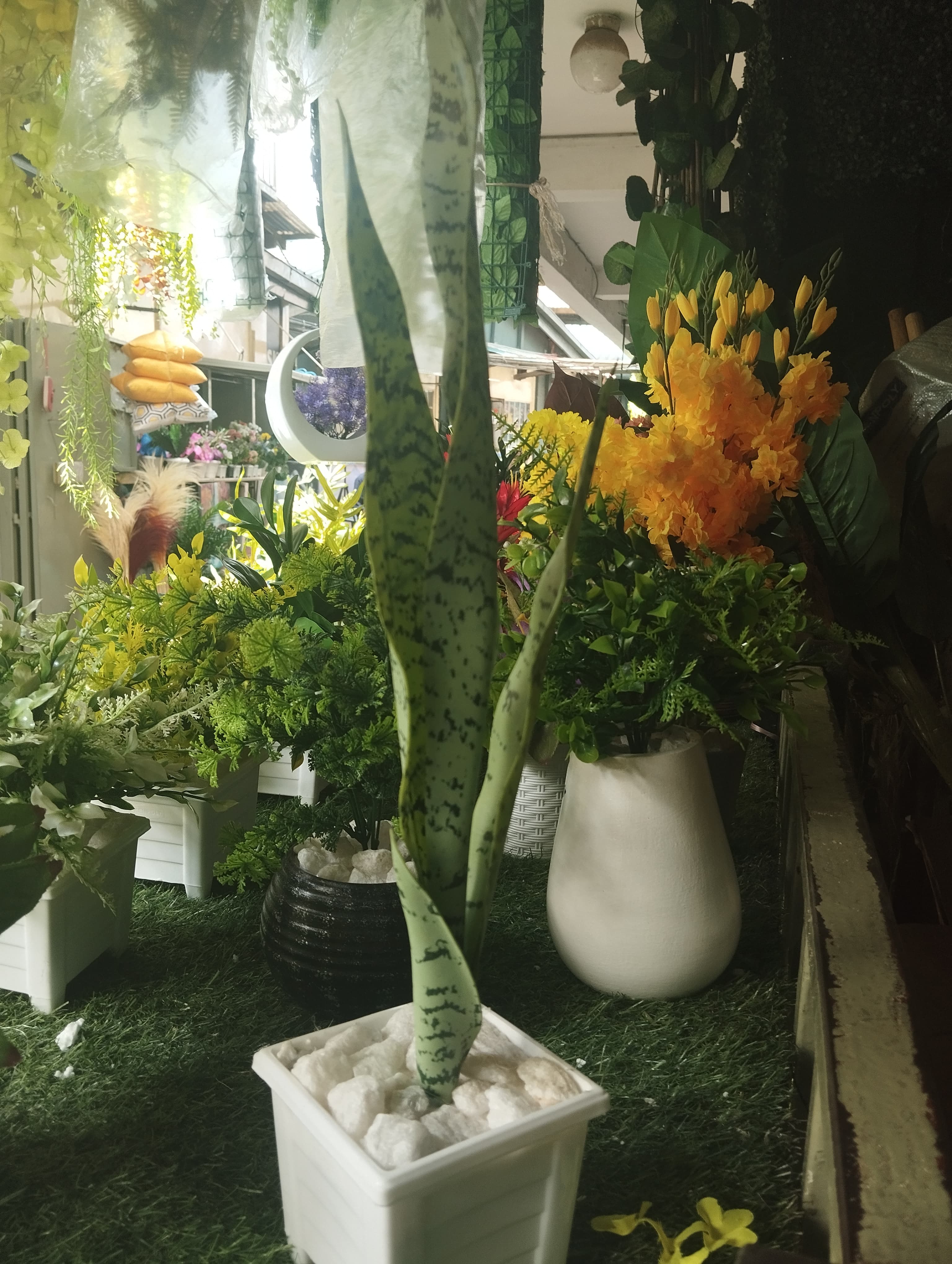 Artificial Green Potted Snake  Plant with White Modern square Pot/ Planter covered with white pebbles
