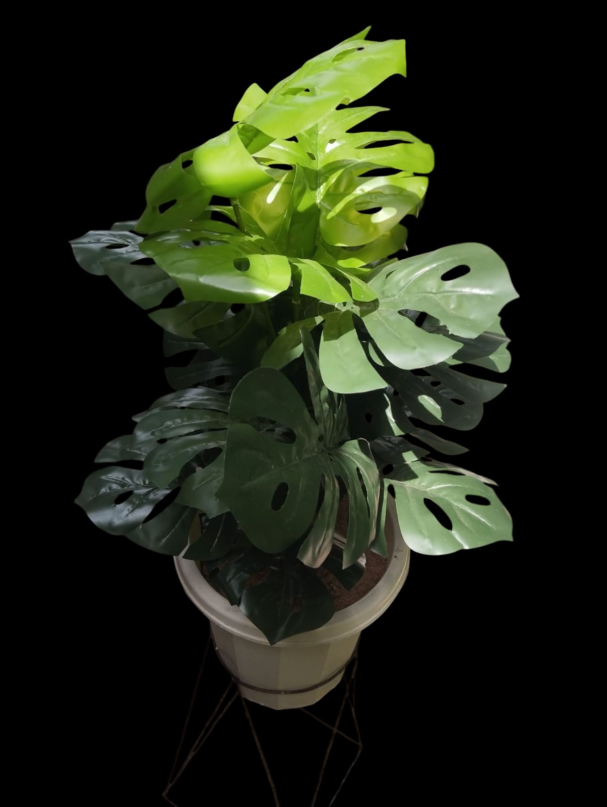 Artificial Green Monstera Plant With White vase /Planter For Home Decor (Comes with 1kg white Pebbles and NO SAWDUST,METALLIC BLACK STAND NOT INCLUDED)
