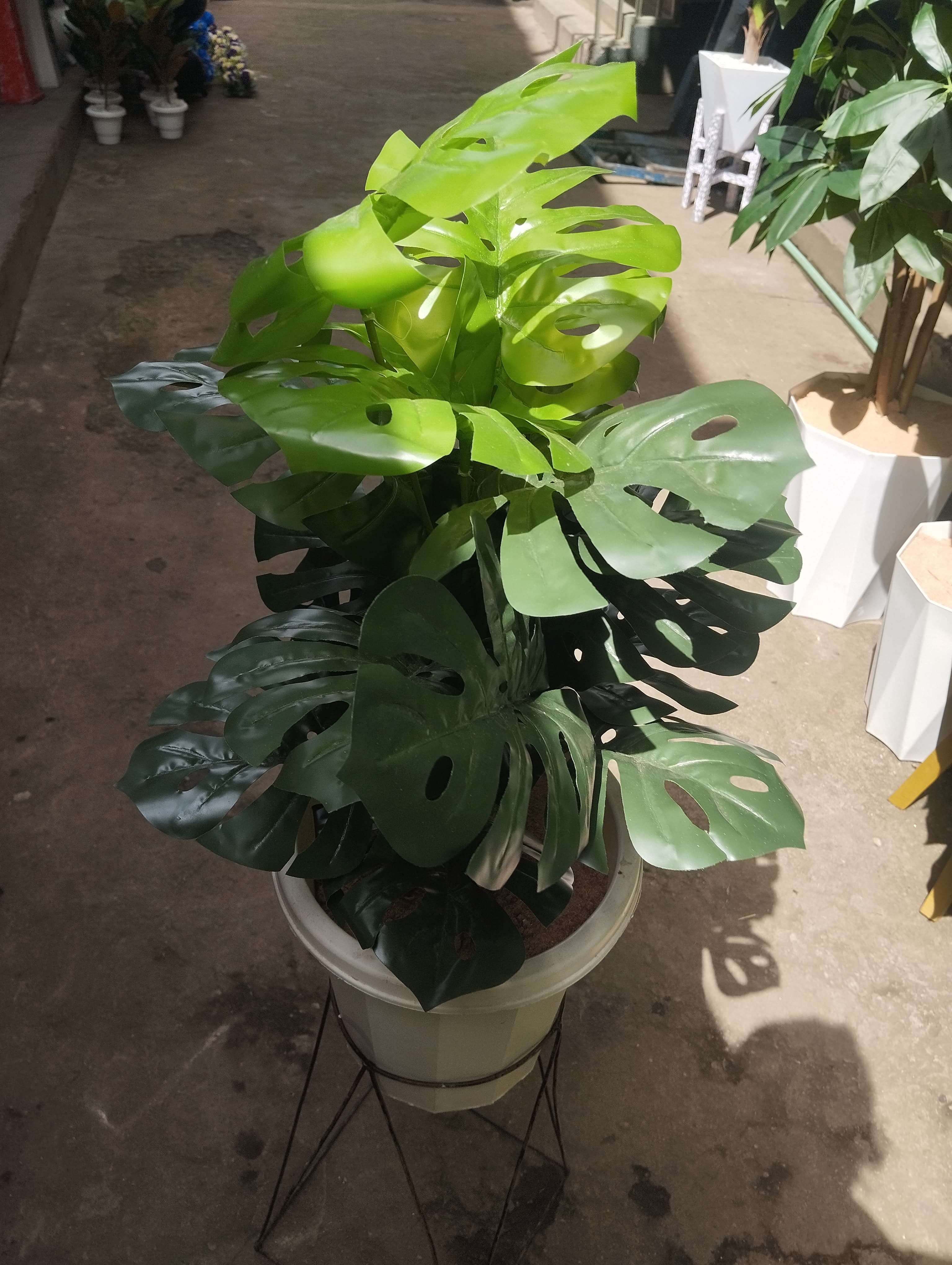 Artificial Green Monstera Plant With White vase /Planter For Home Decor (Comes with 1kg white Pebbles and NO SAWDUST,METALLIC BLACK STAND NOT INCLUDED)
