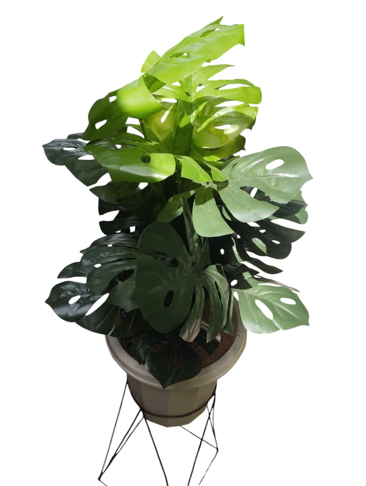 Artificial Green Monstera Plant With White vase /Planter For Home Decor (Comes with 1kg white Pebbles and NO SAWDUST,METALLIC BLACK STAND NOT INCLUDED)