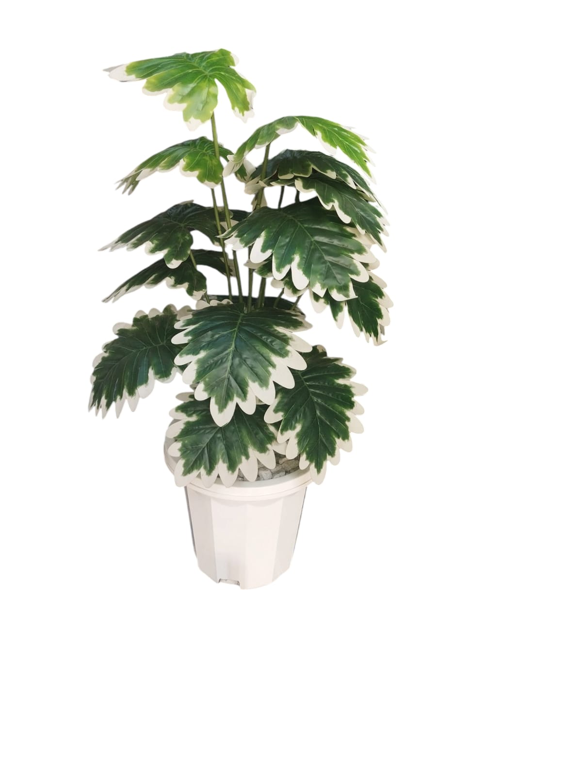 Artificial Green Plant in a White Plastic Vase/ Planter For Home Decor (COMES ASSEMBLED AS SHOWN ON THE PICTURE)