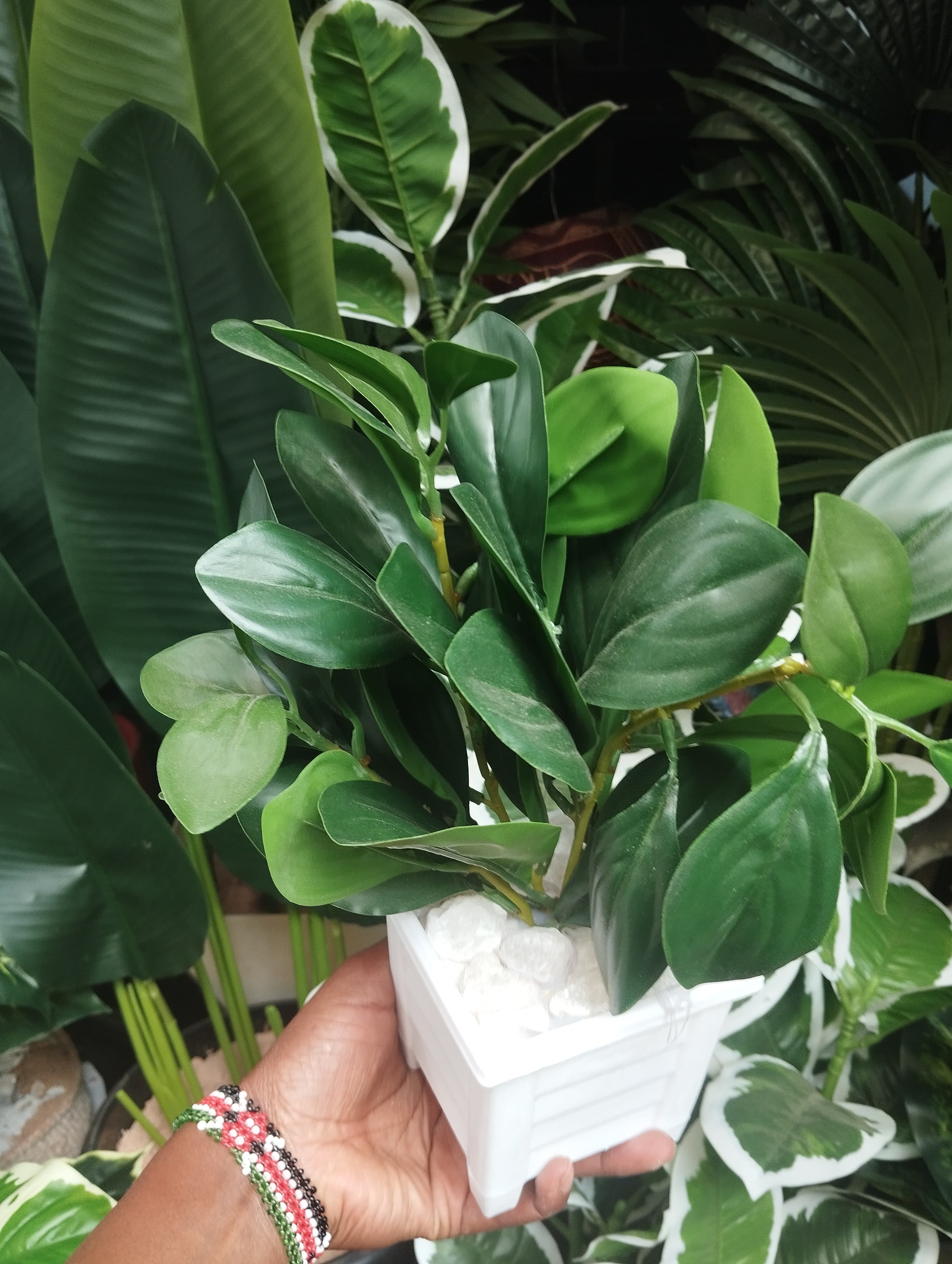 Artificial Green Potted Plant with White Modern square Pot/ Planter covered with white pebbles
